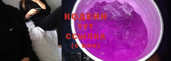 СК Липки