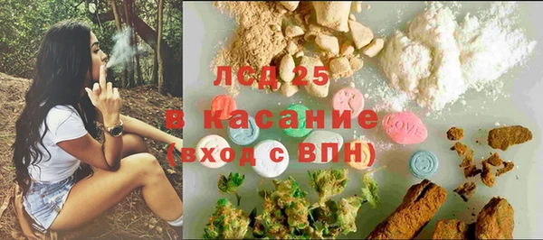 СК Липки