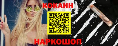 гашик Кингисепп