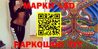 гашик Кингисепп