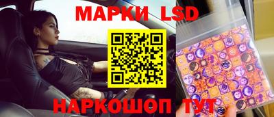 гашик Кингисепп
