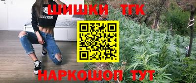 гашик Кингисепп