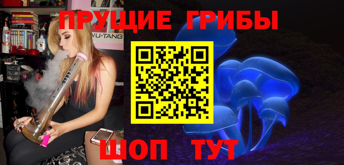 Галлюциногенные грибы Psilocybe  Пушкино  Псилоцибиновые грибы Cubensis 