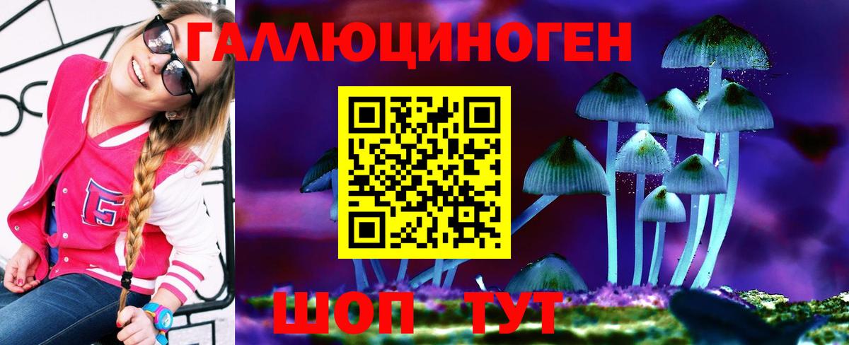 Пушкино  наркошоп  Вход с VPN  Псилоцибиновые грибы Psilocybine cubensis 