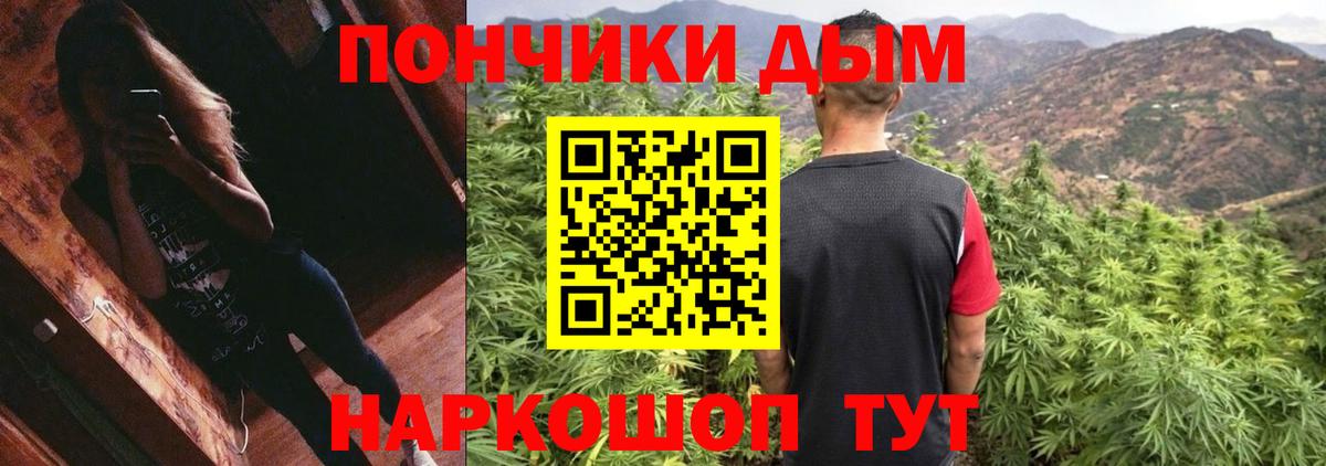 Конопля тримм  Пушкино  МАРИХУАНА конопля  Конопля семена 